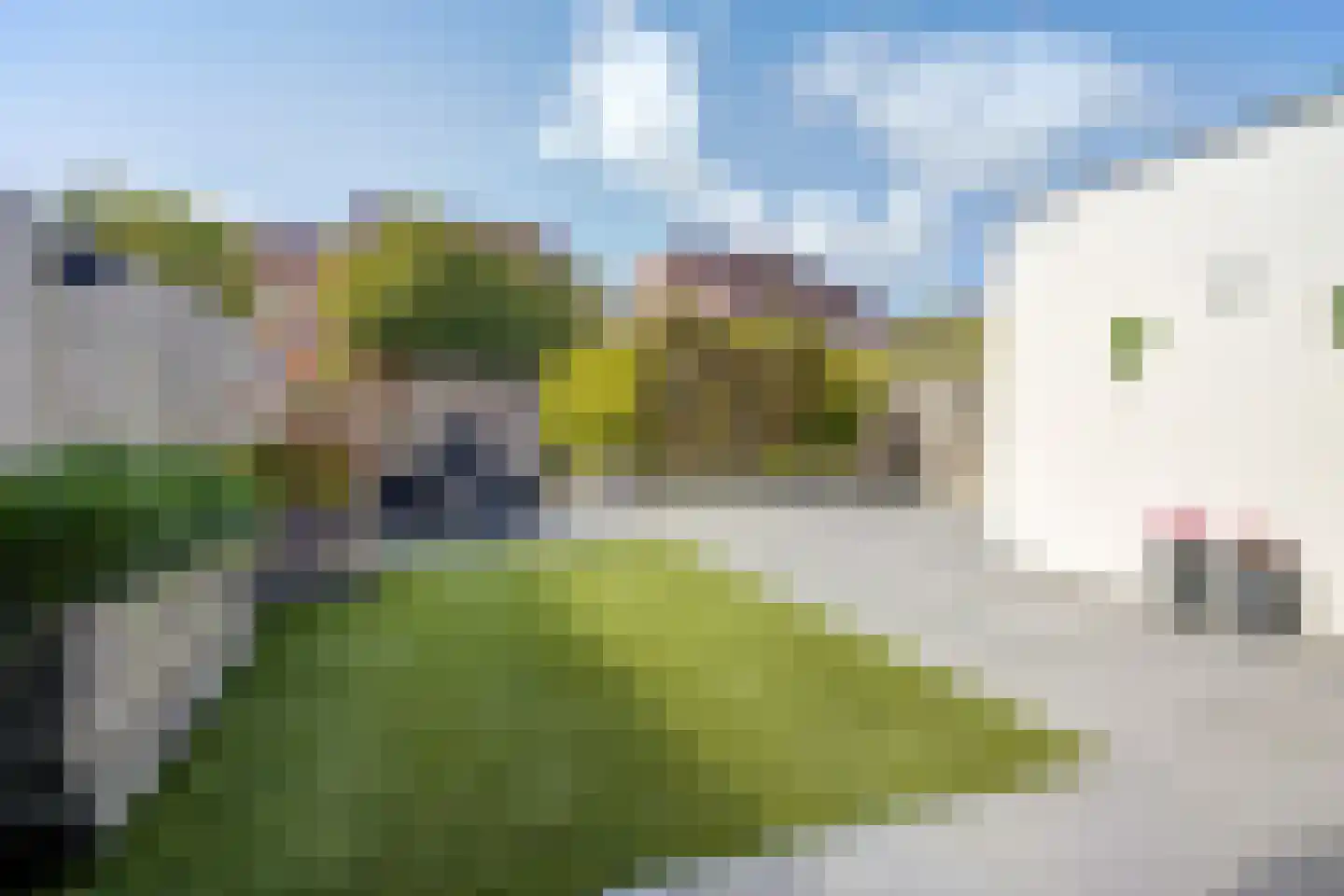 Bogaard 16 Etten-Leur thumbnail 41