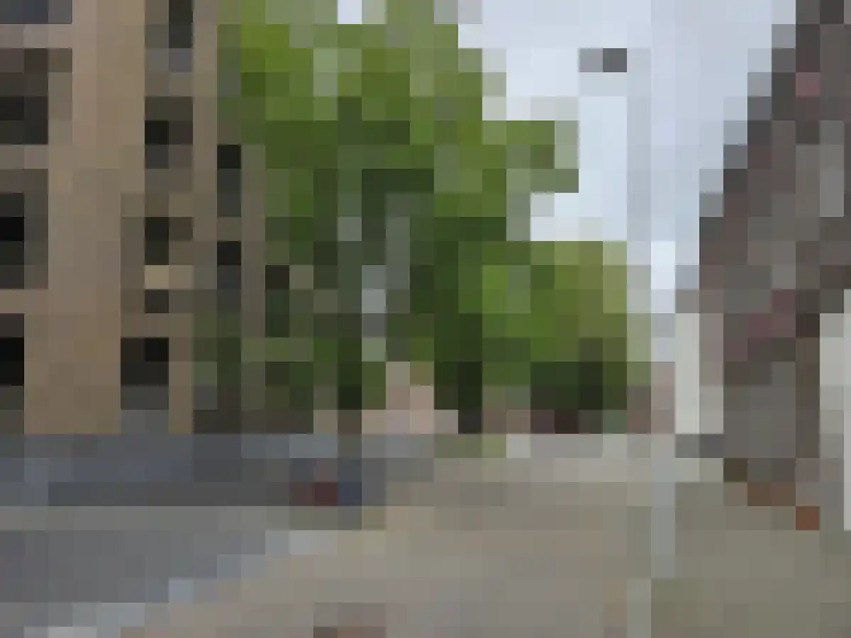 Bogaardenstraat 02 Maastricht thumbnail 4