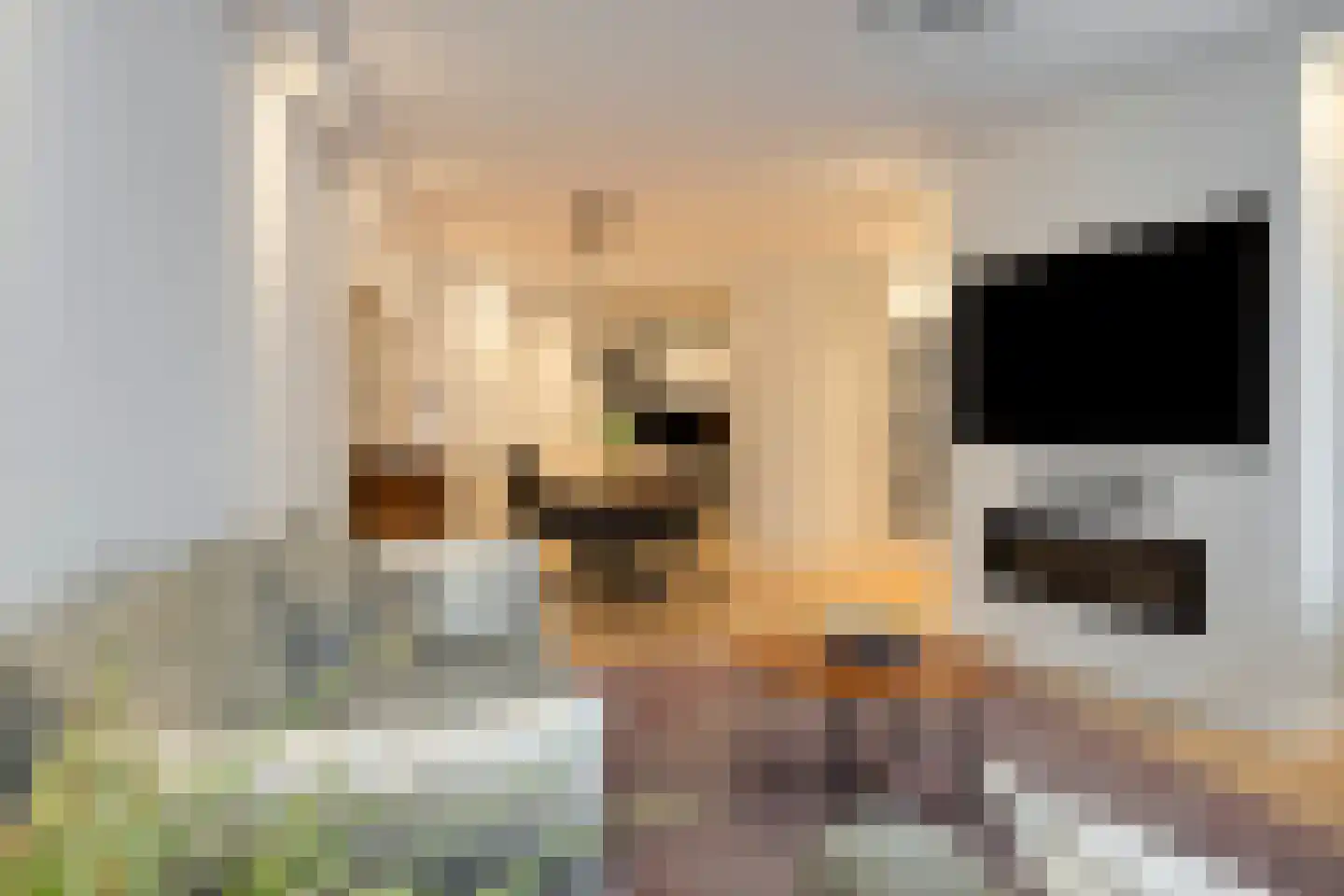 Bogaardplein 52 Rijswijk thumbnail 6