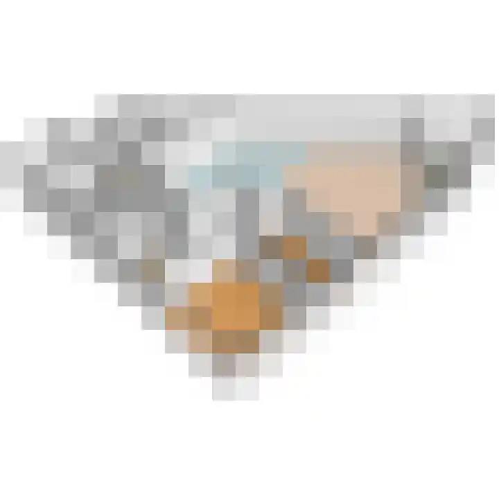 Bogaardplein 70 Rijswijk thumbnail 31