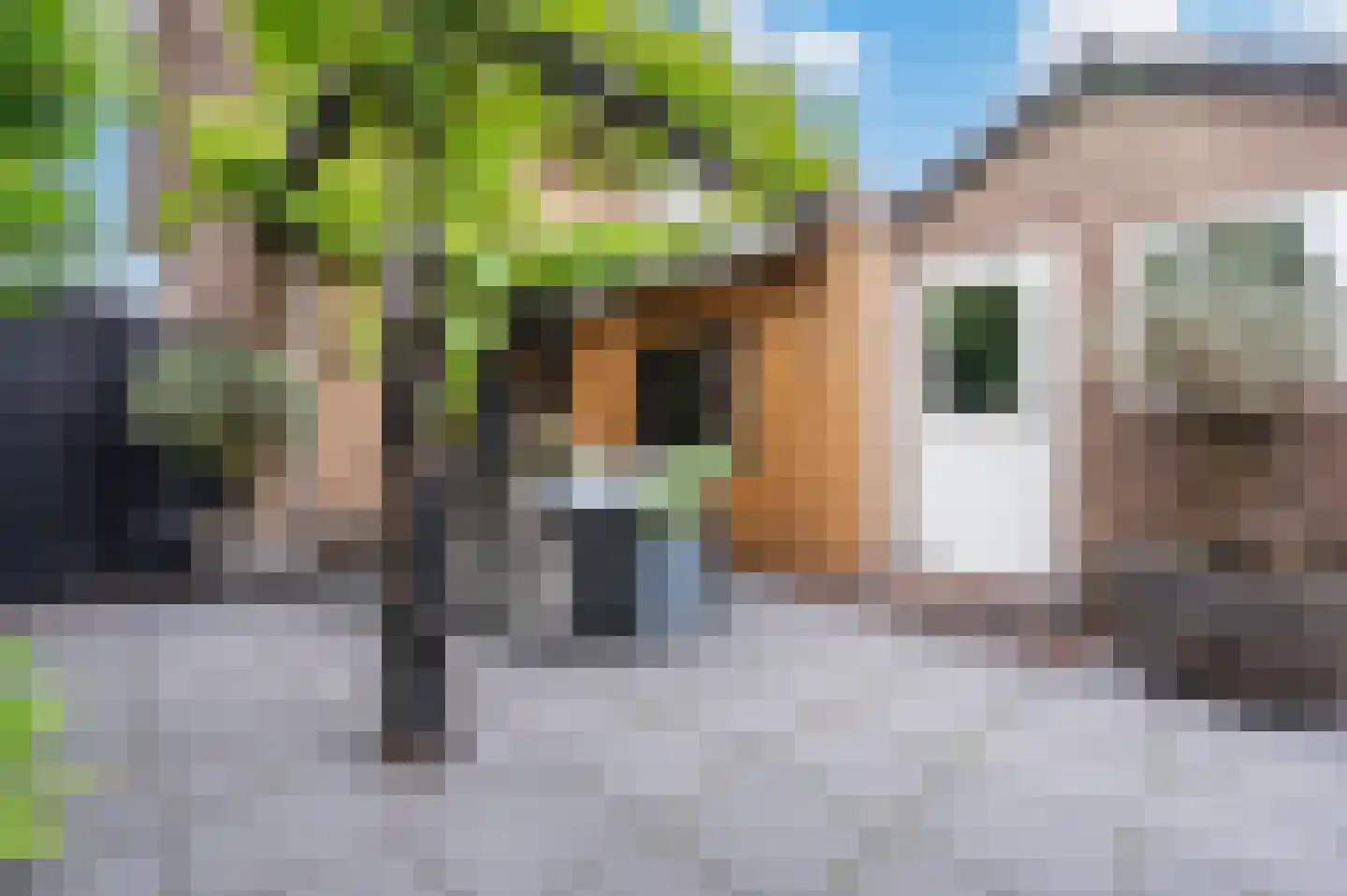 Bogaardslaan 11 Ugchelen thumbnail 15