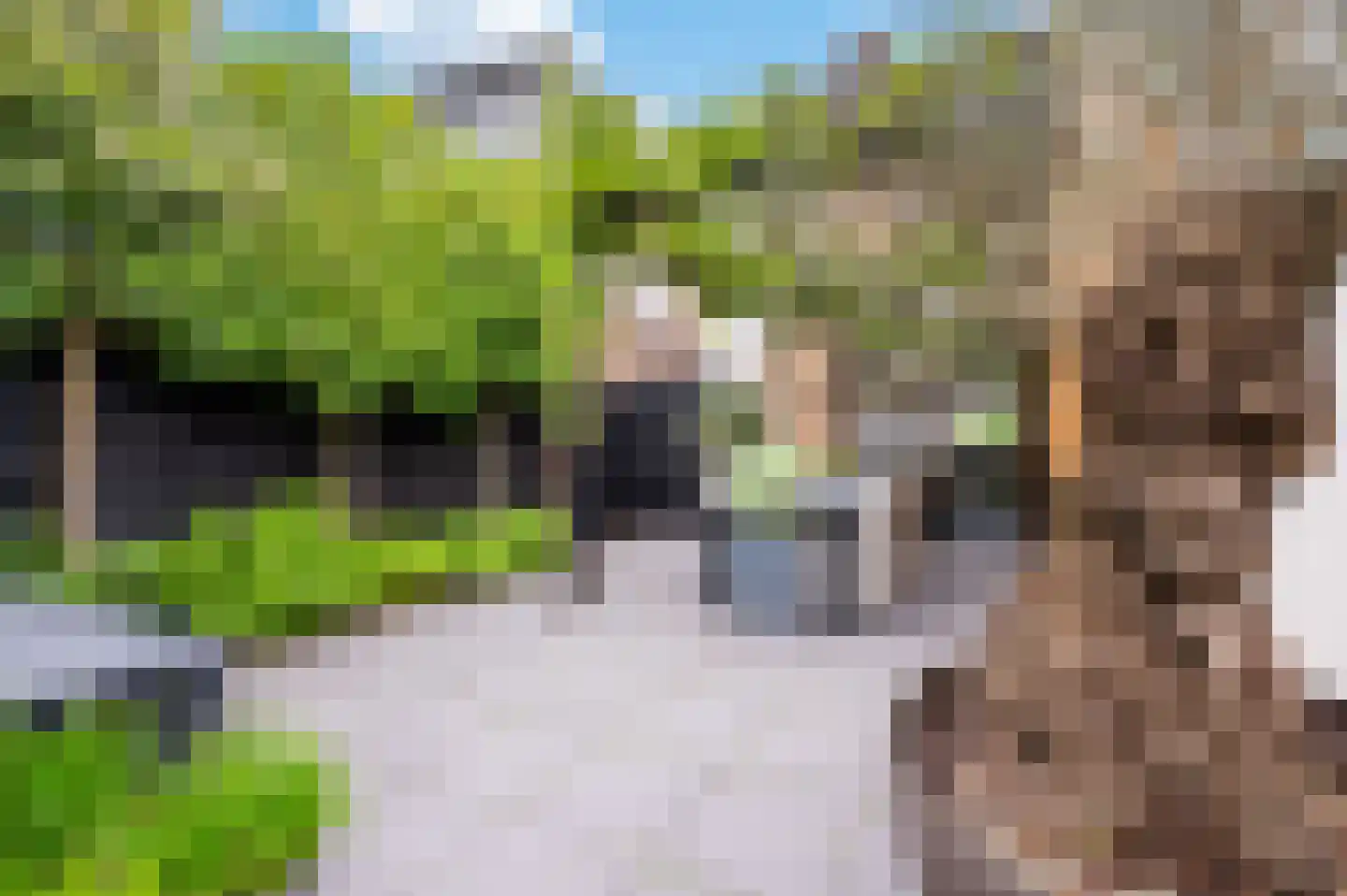 Bogaardslaan 11 Ugchelen thumbnail 17