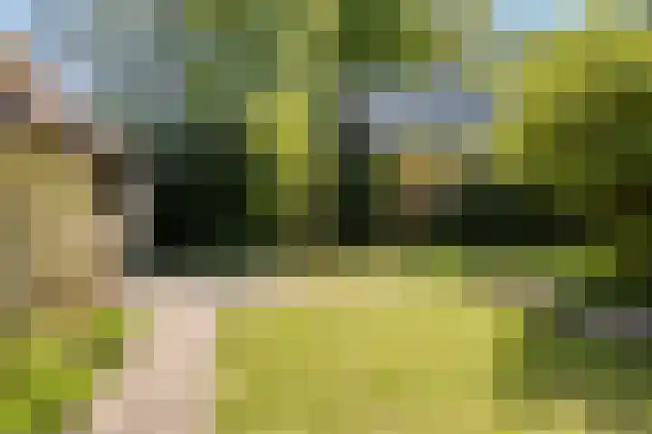 Bogaardslaan 51 Ugchelen thumbnail 20