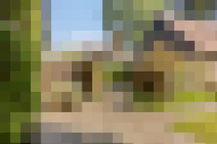 Bogaardslaan 51 Ugchelen thumbnail 21