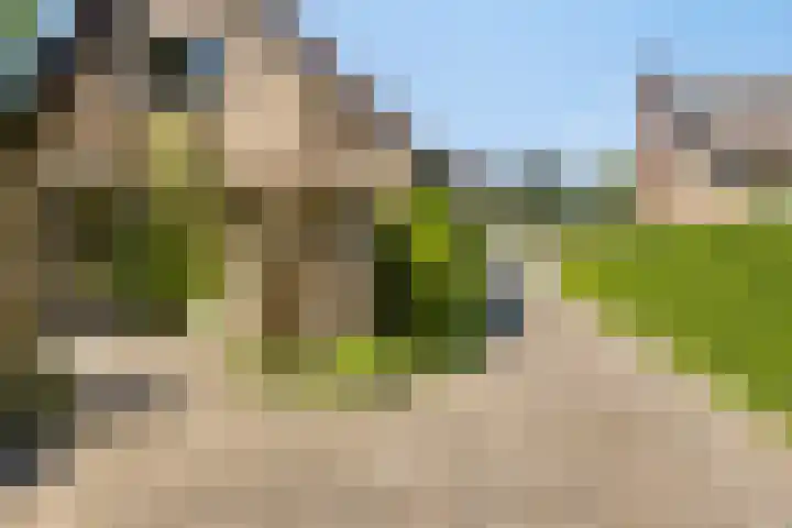 Bogaardslaan 51 Ugchelen thumbnail 22