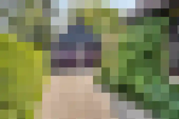 Bogaardslaan 51 Ugchelen thumbnail 33