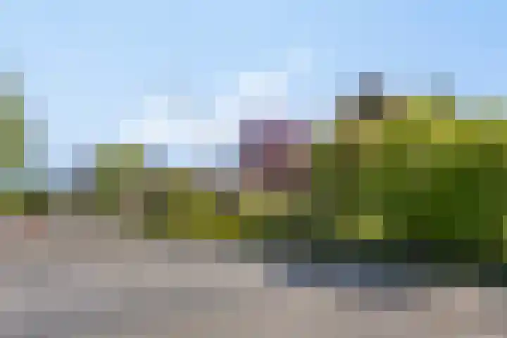 Bogaardslaan 51 Ugchelen thumbnail 34