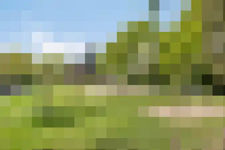 Bogaardslaan 51 Ugchelen thumbnail 35