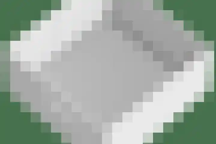 Bogaardslaan 51 Ugchelen thumbnail 46