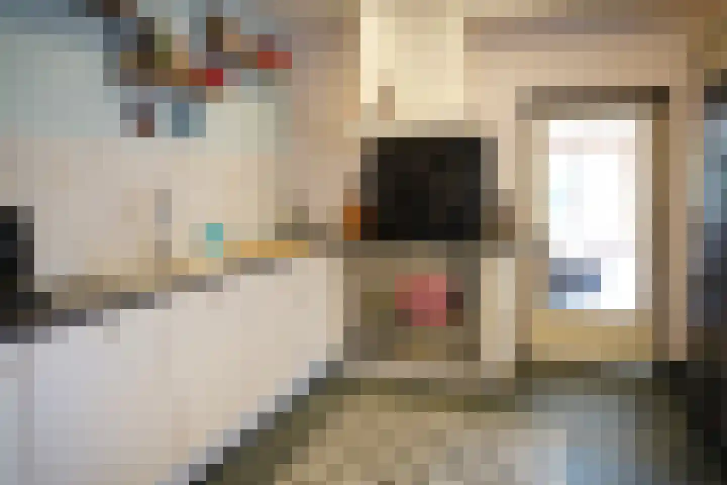 Bogaardstraat 18 Aardenburg thumbnail 10