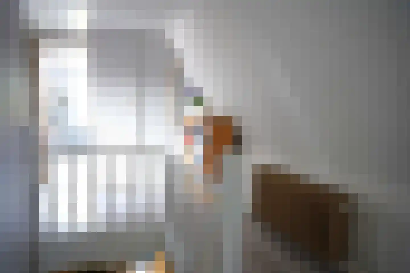 Bogaardstraat 18 Aardenburg thumbnail 28