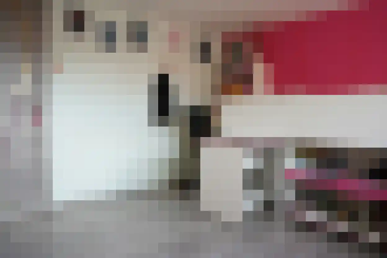 Bogaardstraat 18 Aardenburg thumbnail 31
