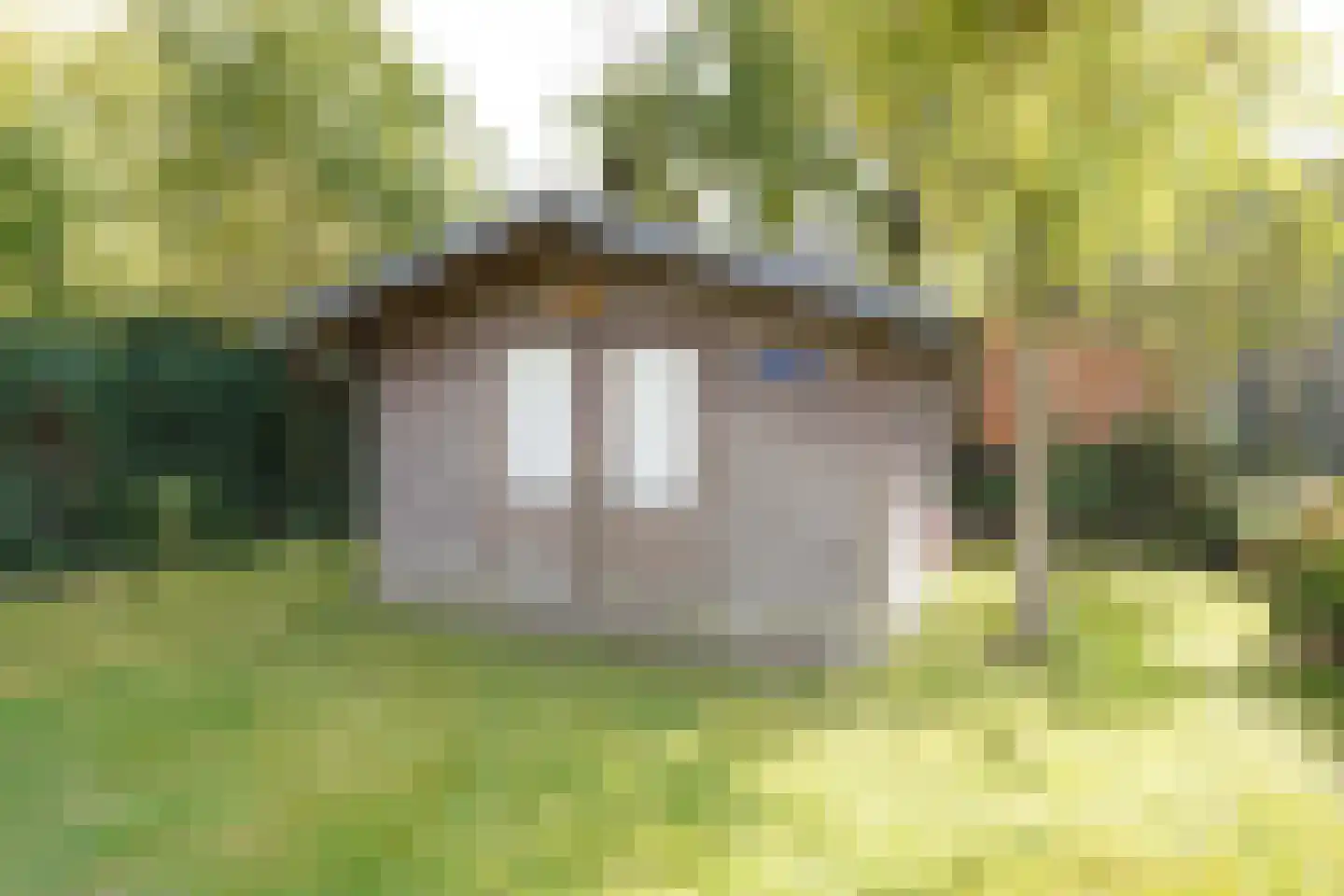 Bogaardstraat 18 Aardenburg thumbnail 47