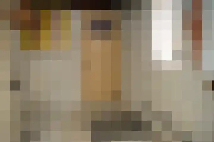 Bogaardstraat 22 Aardenburg thumbnail 19