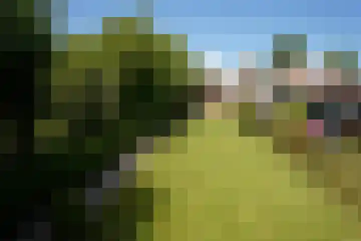 Bogaardstraat 22 Aardenburg thumbnail 44