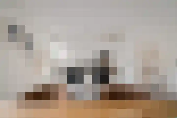 Bogaartsborg 74 Maastricht thumbnail 11