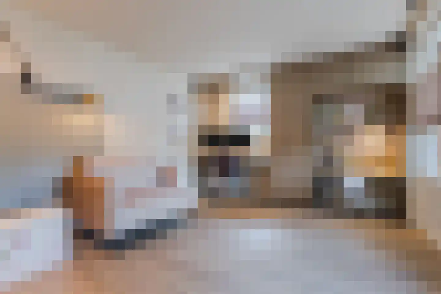 Bogaersstraat 2 c Haps thumbnail 11