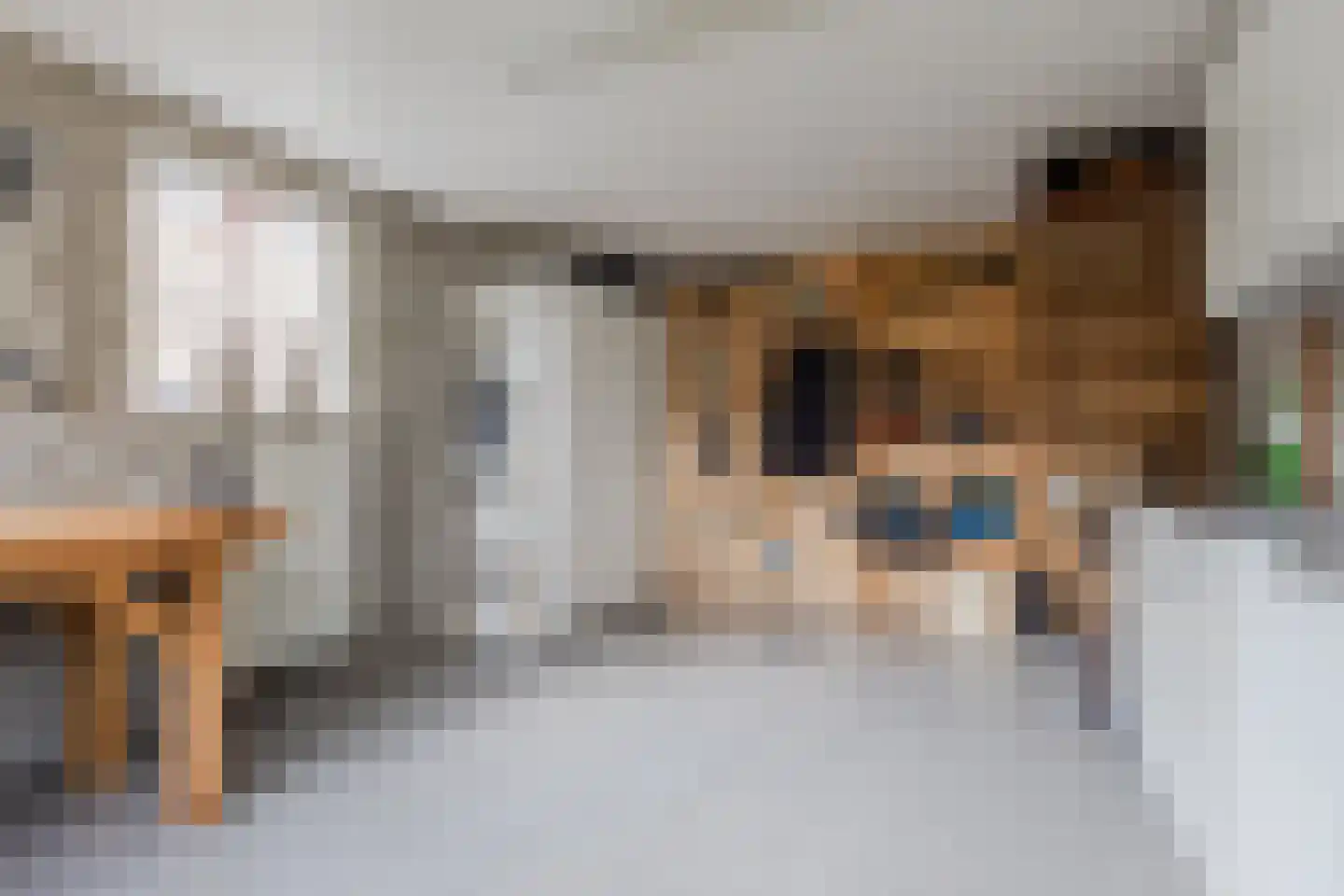 Bogaersstraat 2 c Haps thumbnail 22