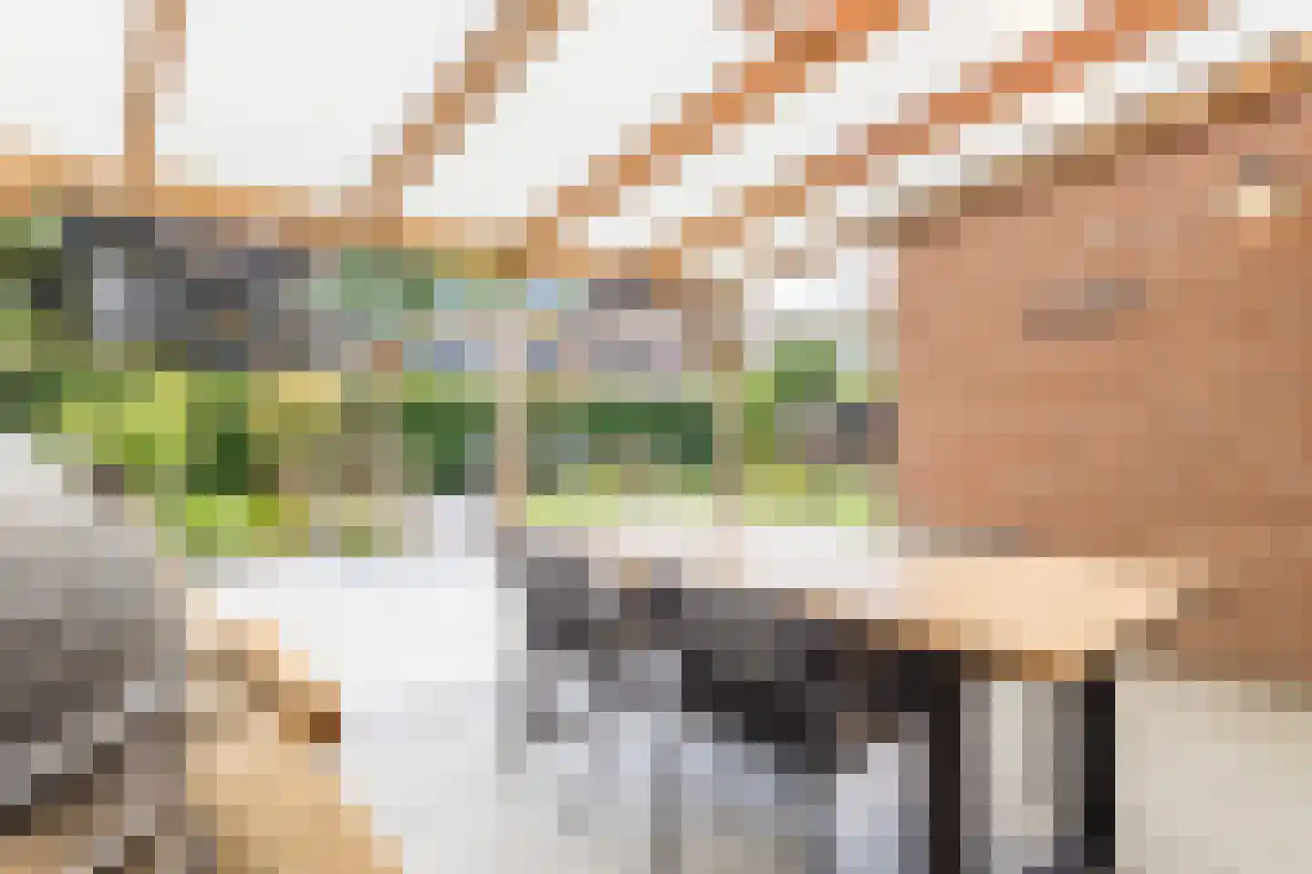 Bogaersstraat 2 c Haps thumbnail 37