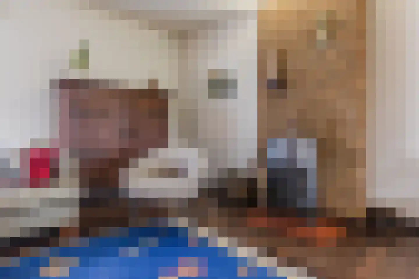 Bogardeind 136 Geldrop thumbnail 12