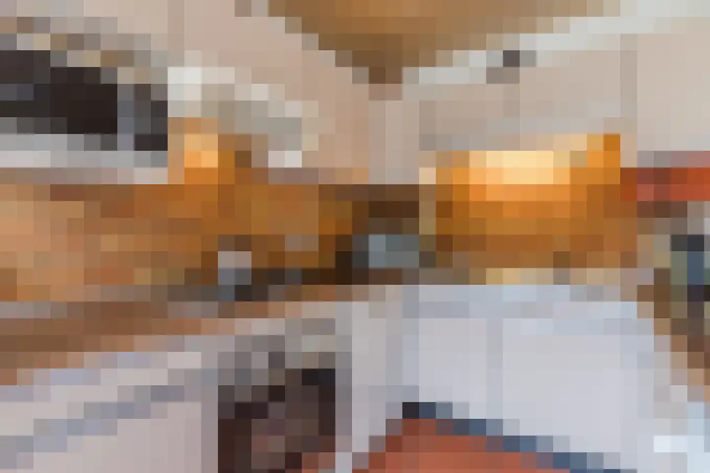 Bogardeind 136 Geldrop thumbnail 20