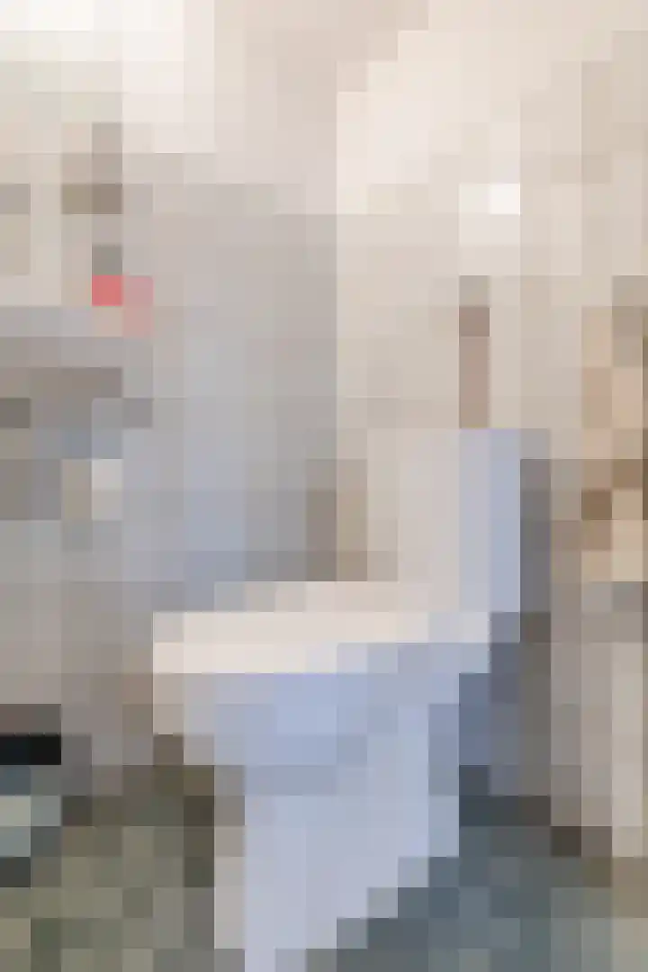 Bogardeind 136 Geldrop thumbnail 24