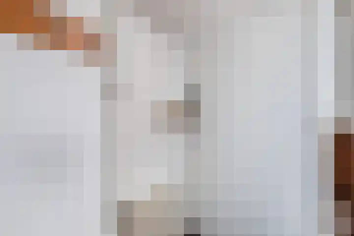 Bogardeind 136 Geldrop thumbnail 26