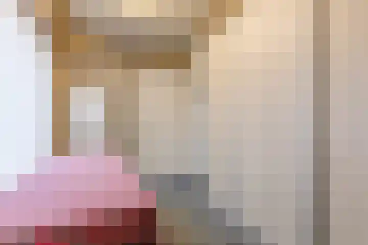 Bogardeind 136 Geldrop thumbnail 27