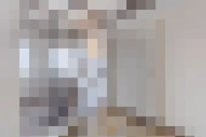 Bogardeind 136 Geldrop thumbnail 29