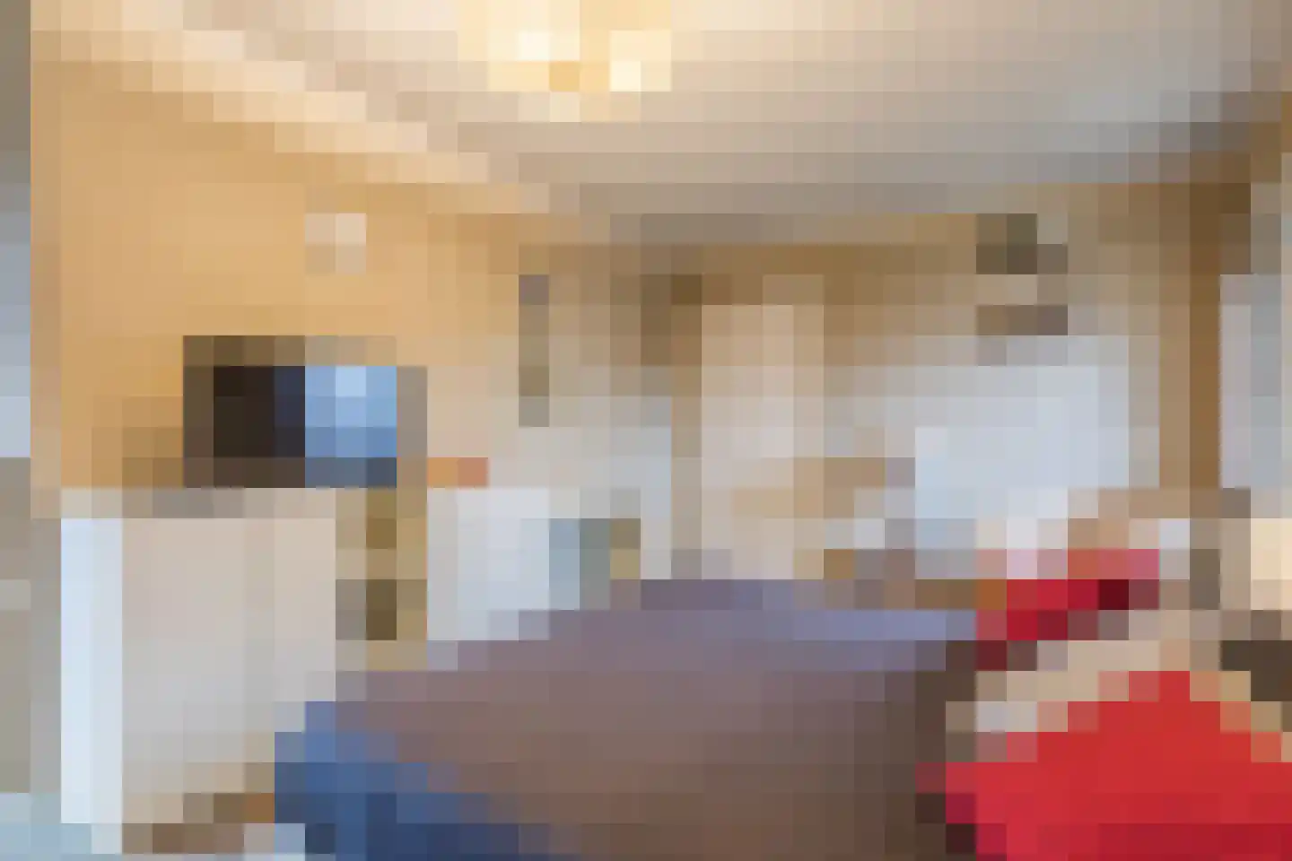 Bogardeind 136 Geldrop thumbnail 32