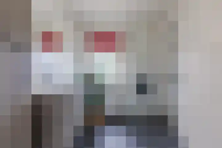 Bogardeind 136 Geldrop thumbnail 41