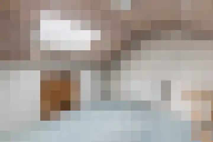 Bogardeind 136 Geldrop thumbnail 46
