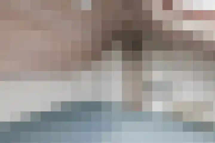 Bogardeind 136 Geldrop thumbnail 47