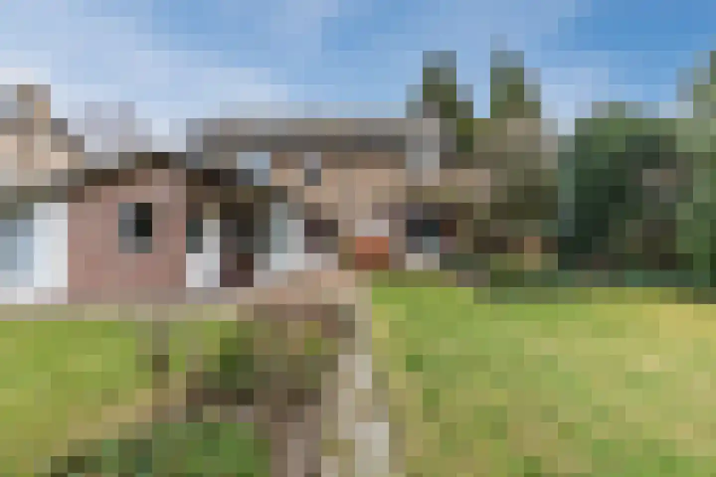 Bogardeind 136 Geldrop thumbnail 48