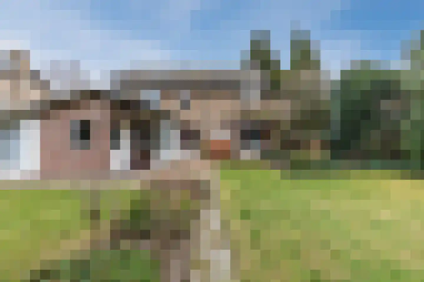 Bogardeind 136 Geldrop thumbnail 49