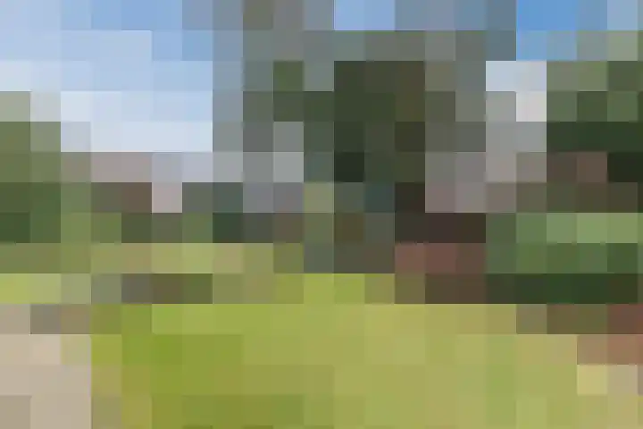 Bogardeind 136 Geldrop thumbnail 52