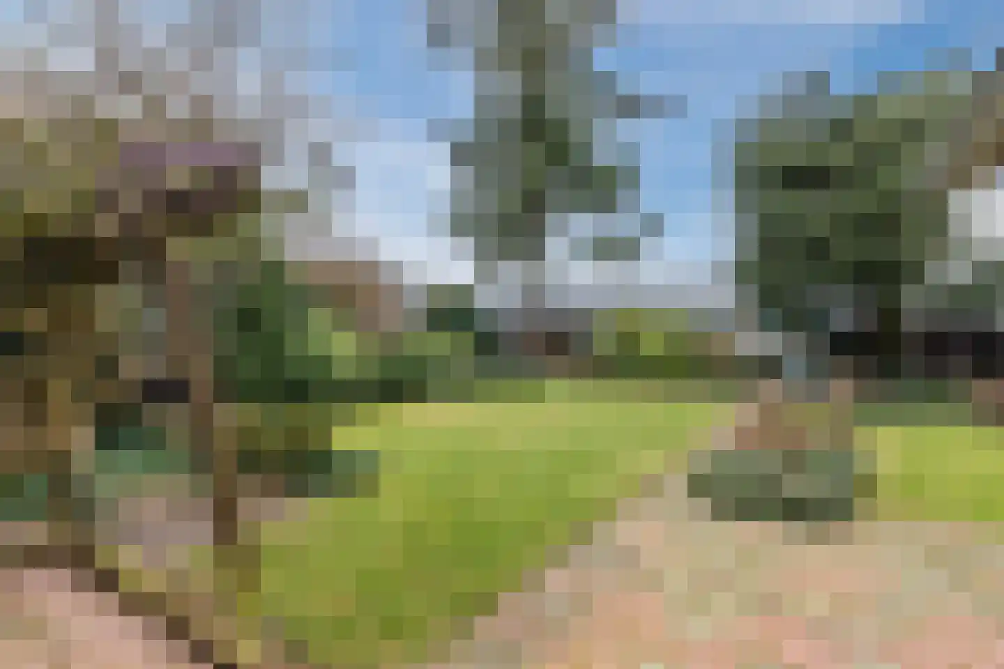 Bogardeind 136 Geldrop thumbnail 53