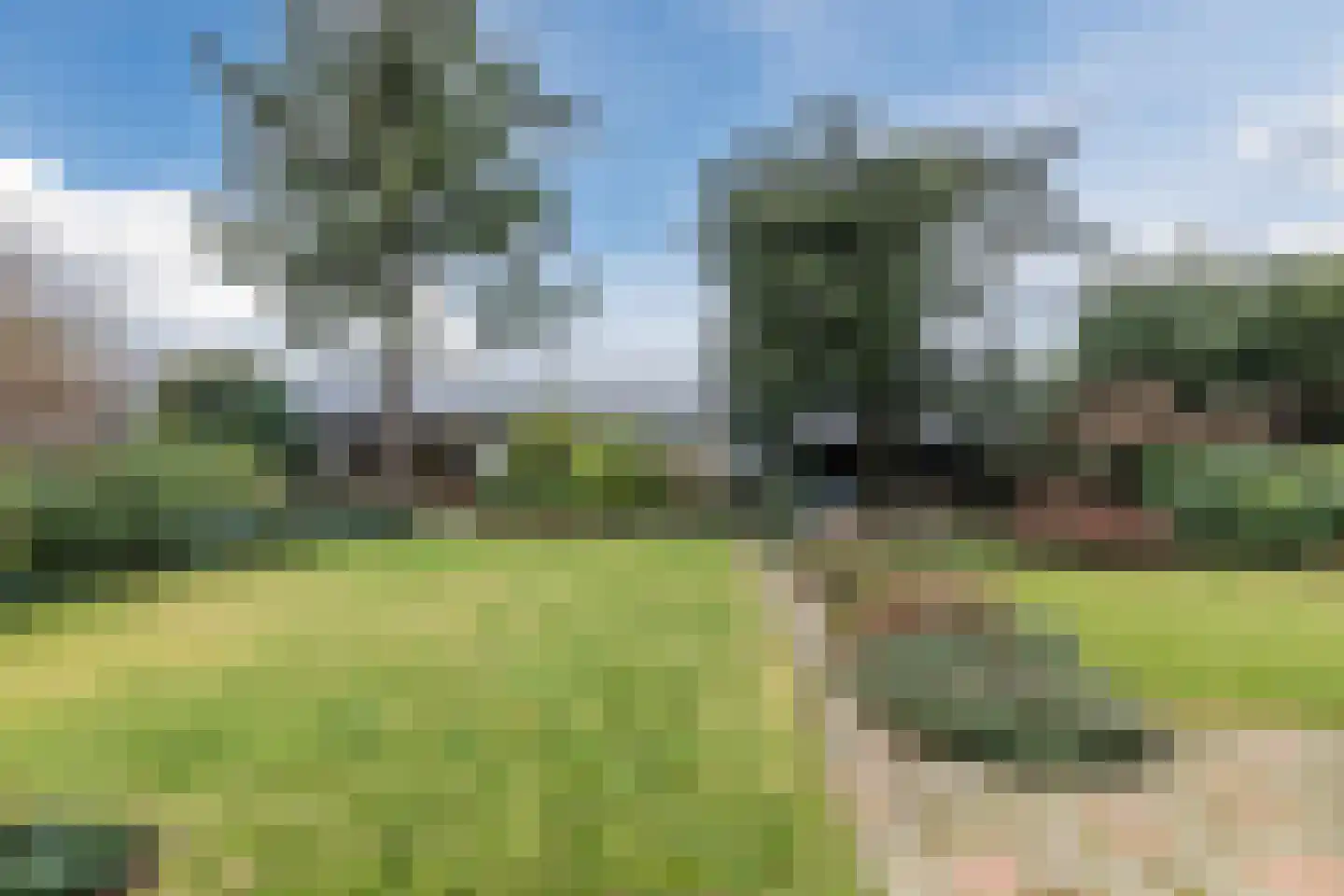 Bogardeind 136 Geldrop thumbnail 54