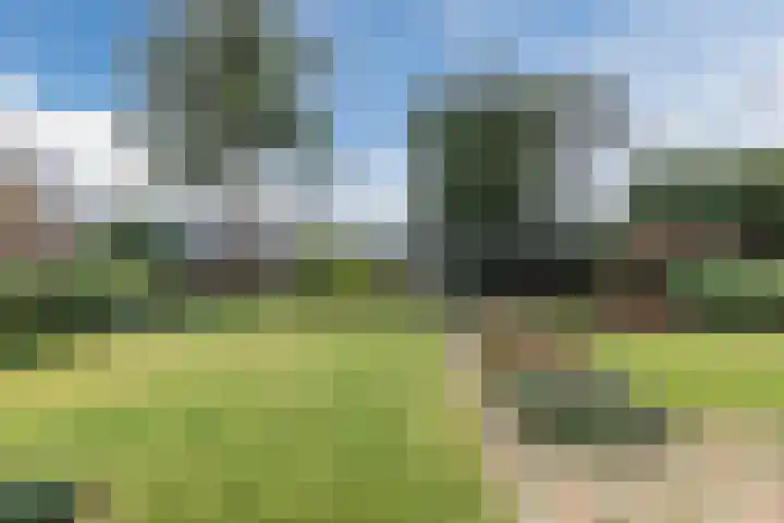 Bogardeind 136 Geldrop thumbnail 54