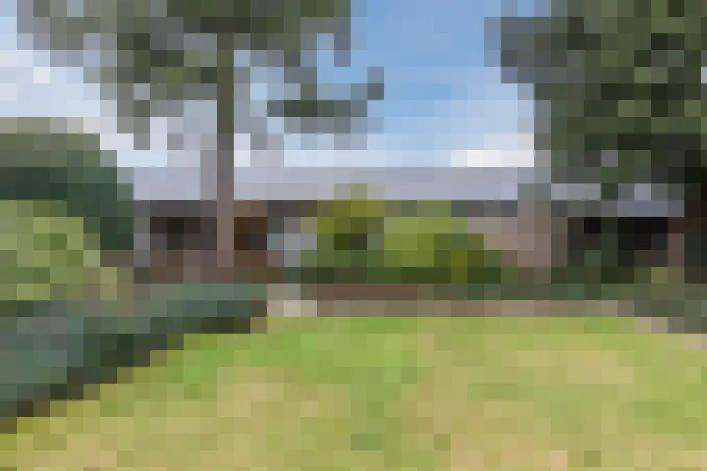 Bogardeind 136 Geldrop thumbnail 55