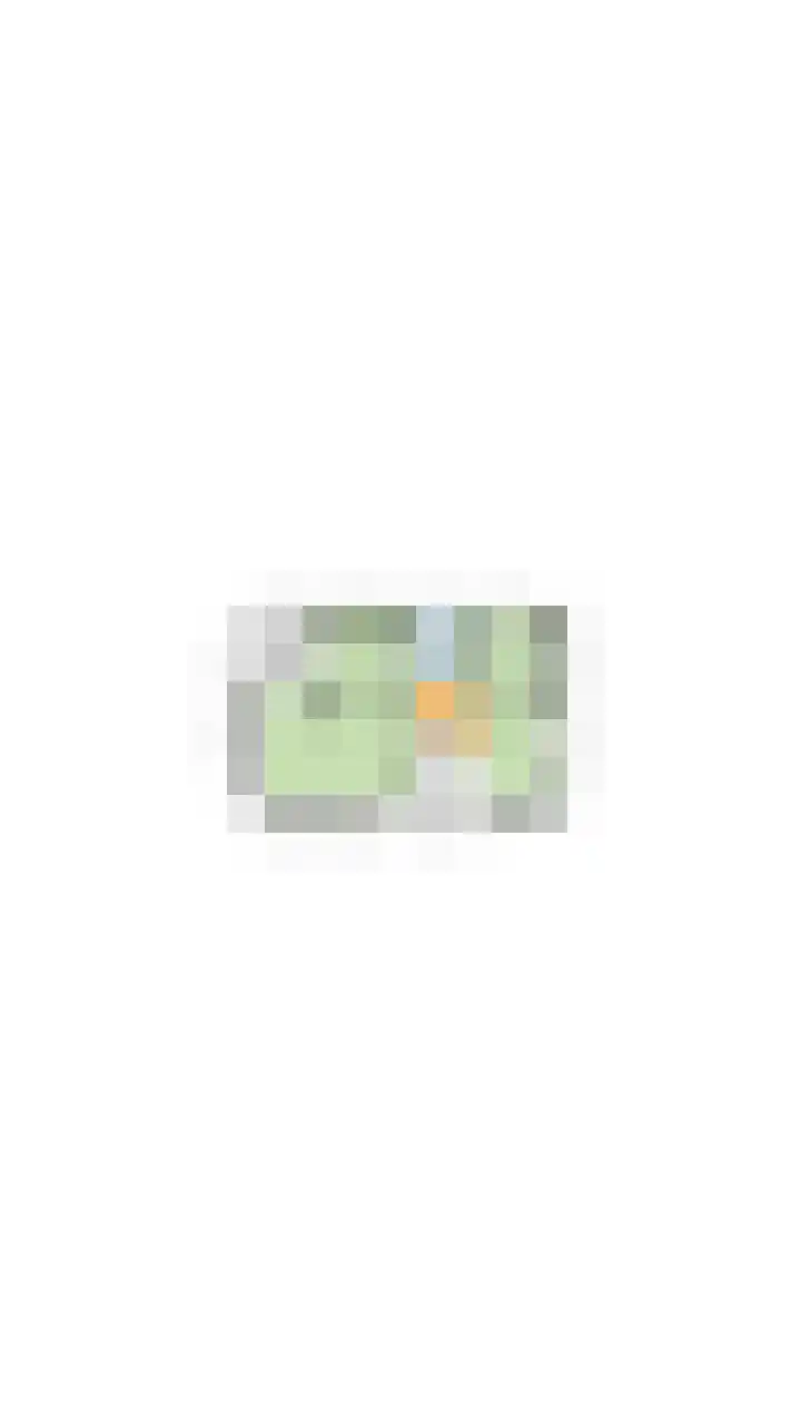 Bogardeind 136 Geldrop thumbnail 66