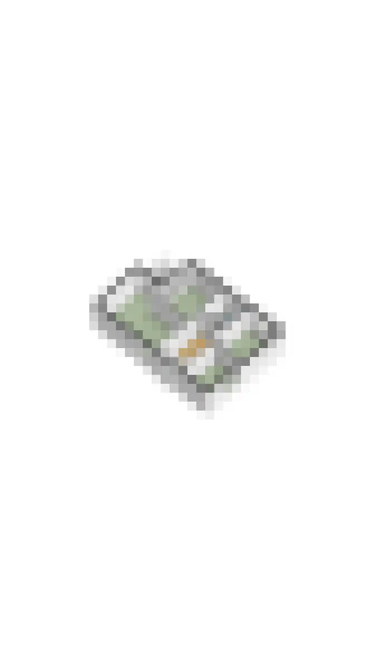 Bogardeind 136 Geldrop thumbnail 70