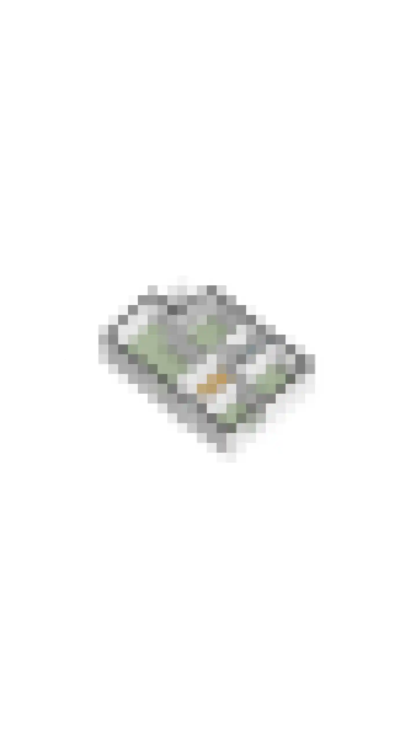 Bogardeind 136 Geldrop thumbnail 71
