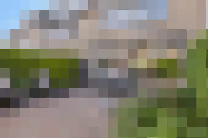 Bogardeind 136 Geldrop thumbnail 72