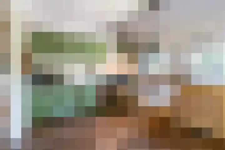 Bogardeind 161 Geldrop thumbnail 11