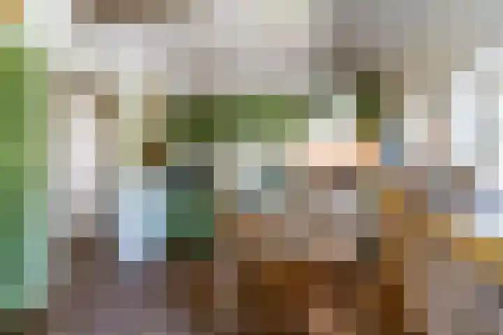 Bogardeind 161 Geldrop thumbnail 12