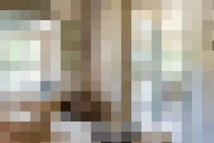Bogardeind 161 Geldrop thumbnail 16