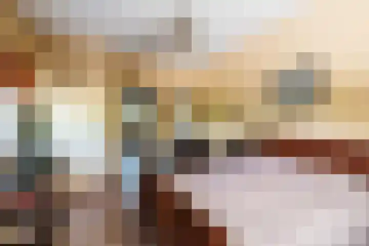 Bogardeind 161 Geldrop thumbnail 18