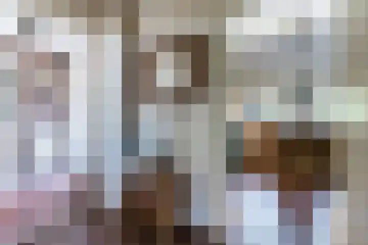 Bogardeind 161 Geldrop thumbnail 21