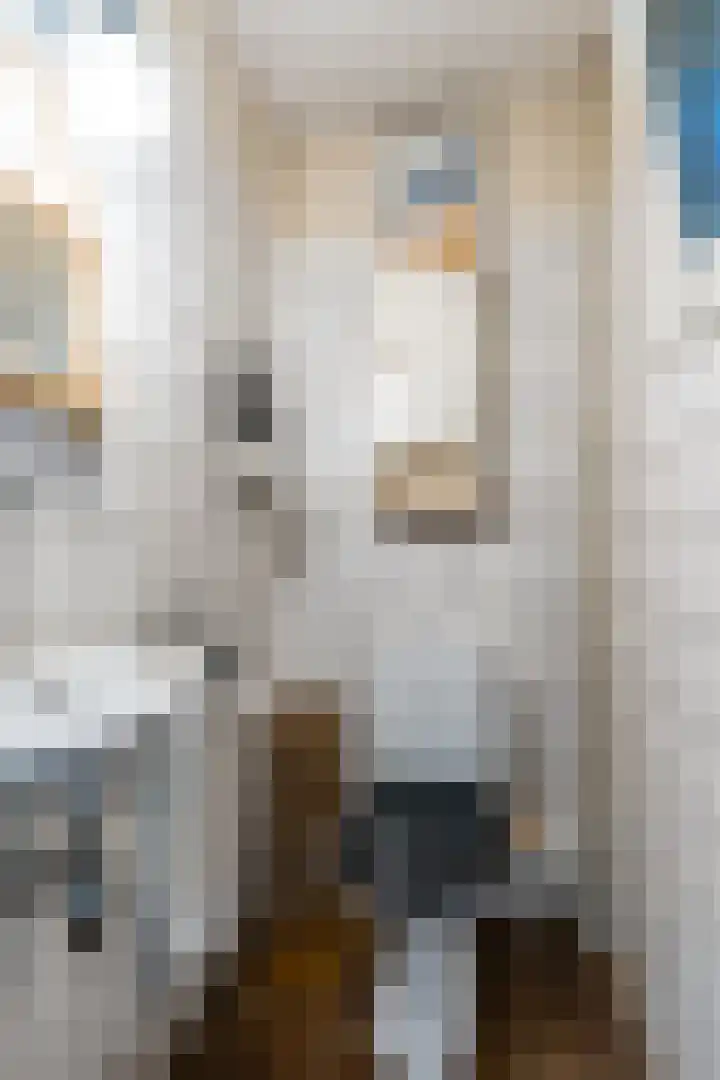 Bogardeind 161 Geldrop thumbnail 26